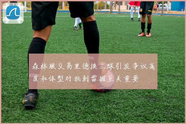森林狼交易里德换三球引发争议高度和体型对抗刺雷掘至关重要