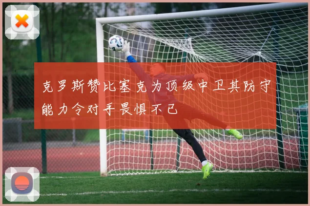 克罗斯赞比塞克为顶级中卫其防守能力令对手畏惧不已