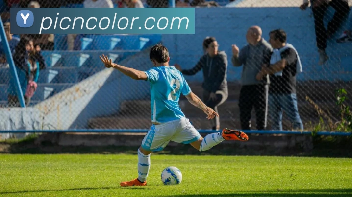 数据分析功能